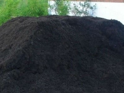 torf1